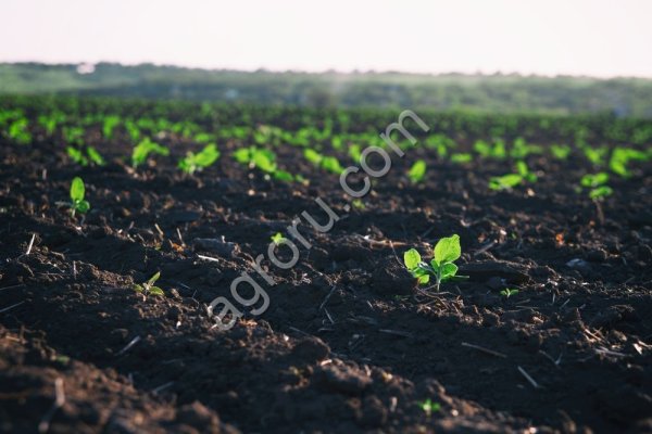 Готовый фермерский бизнес поля земля сады водоёмы техника сарайи гаражы боксы