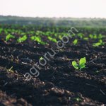 Готовый фермерский бизнес поля земля сады водоёмы техника сарайи гаражы боксы