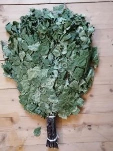 Тарасюк Евгений