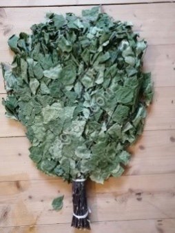 Тарасюк Евгений