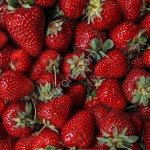 Клубника свежая
