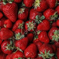 Клубника свежая