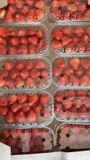 Клубника свежая оптом