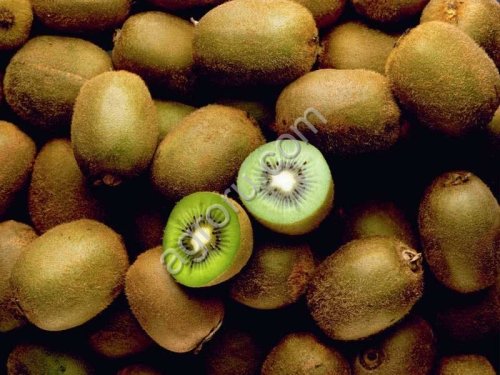 Фрукты и овощи из Ирана