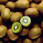 Фрукты и овощи из Ирана