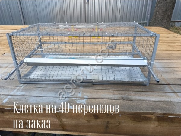 Клетки для перепелов