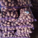 продовольственный картофель 2 категории