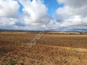 Земельный участок 17,6 Га