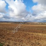 Земельный участок 17,6 Га