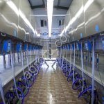 Доильные залы и установки.