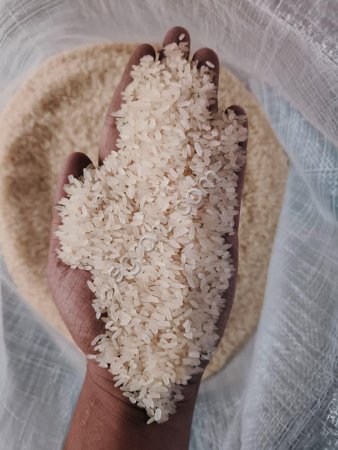 Рис пропаренный длиннозерный сорта IR 64