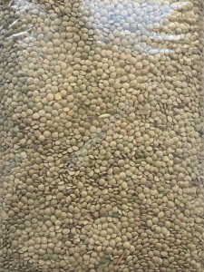 Зеленая чечевица тарелочная