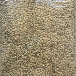 Зеленая чечевица тарелочная