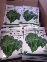 Семена Шпината сорт Рио Де Самер