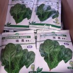 Семена Шпината сорт Рио Де Самер
