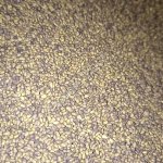 Семена Клевера Люцерны Тимофеевки Фацелии Эспарцета Вики