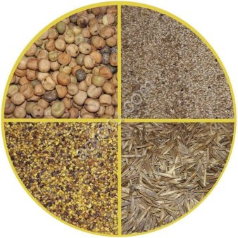 семена кормовых трав