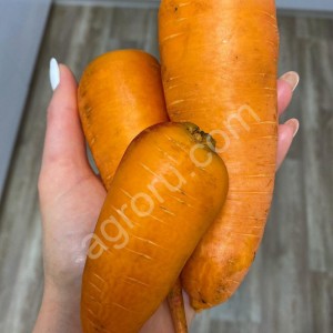 Морковное пюре brix 14%