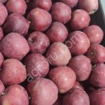 Яблоки сортов: Голден Делишес, Гренни Смит,Фуджи,Симиренко