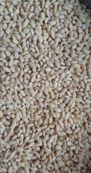 Крупа перловая