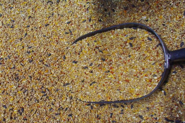 Крупяные цены в Твери