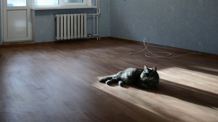 Донские селяне готовятся к новоселью