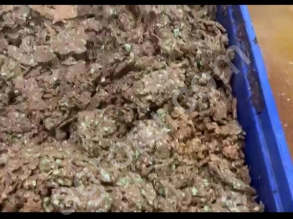 Жмых Яблочный