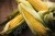Семена кукурузы НК Фалькон Syngenta, ДКС4014 Monsanto