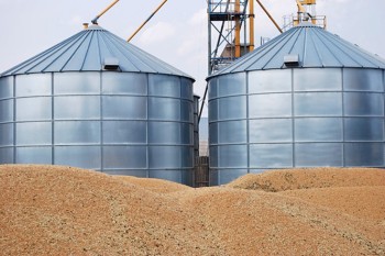Для экспорта зерна Украине не хватает элеваторов