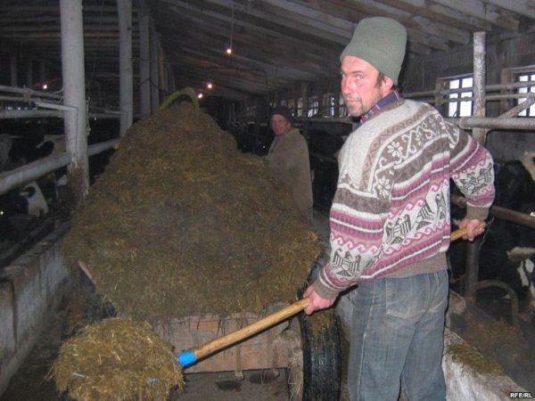 Будет ли помощь сельхозпроизводителям?