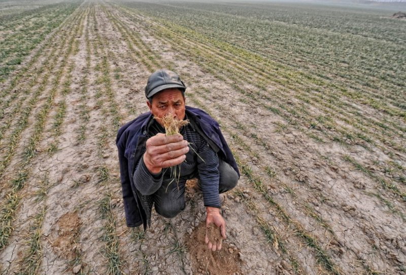 Стратегия поддержки отрасли