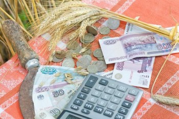 Компании АПК разошлись во мнении насчет господдержки
