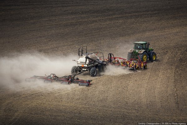 В Новосибирской области  произведен сев яровых культур