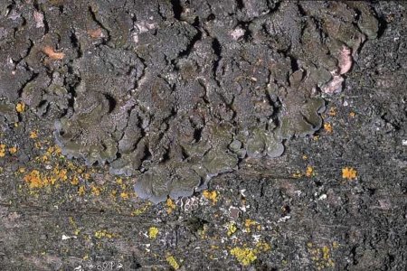 Донская земля готова к весеннему севу