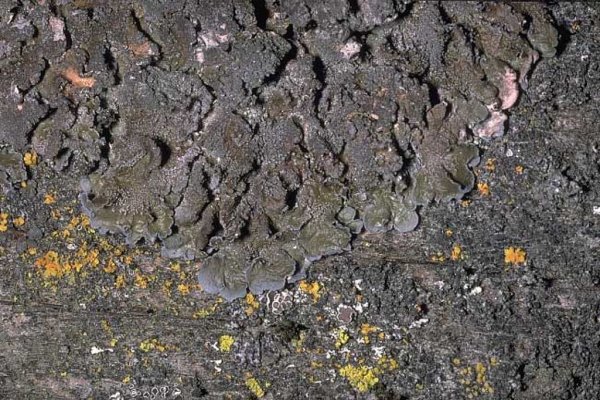 Донская земля готова к весеннему севу