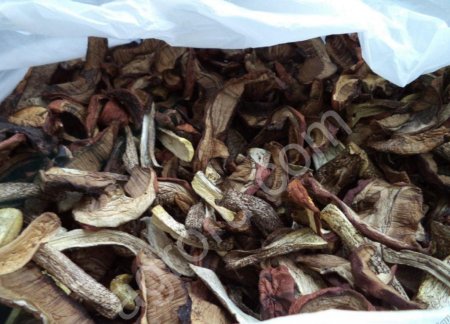 Подосиновик сушеный