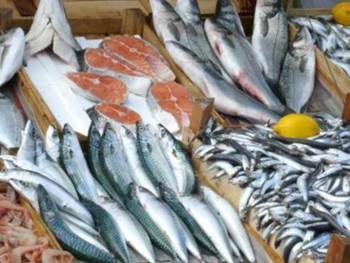 Во Владивостоке изъята партия опасных морепродуктов