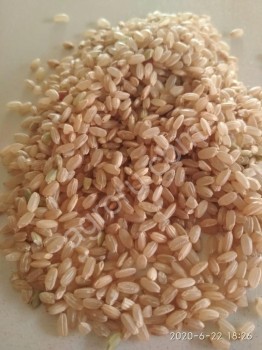 Бурый рис от производителя