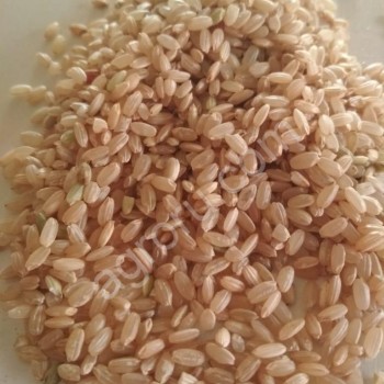 Бурый рис от производителя