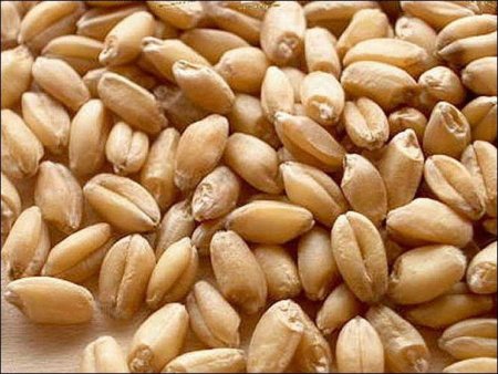 Государство в четверг купило в Крыму более 4 тыс. тонн зерна