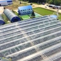 Теплица зимняя 1.55 га в Аренду