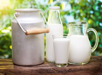 Аналитика молочного рынка - Краткий обзор молочной отрасли