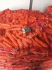 морковь оптом