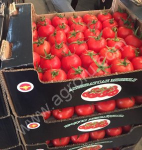 Помидоры красные Бакинские оптом