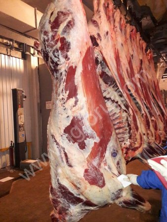 Говядина от молодняка