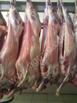 Баранина напрямую с производства