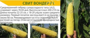 Семена сладкой кукурузы Свит Вондер F1 Agri Saaten GmbH