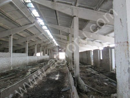 Животновотческий комплекс