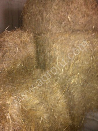 сено,солому.