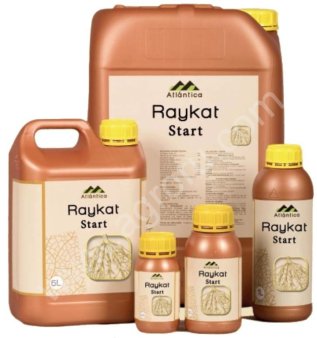 Райкат Старт